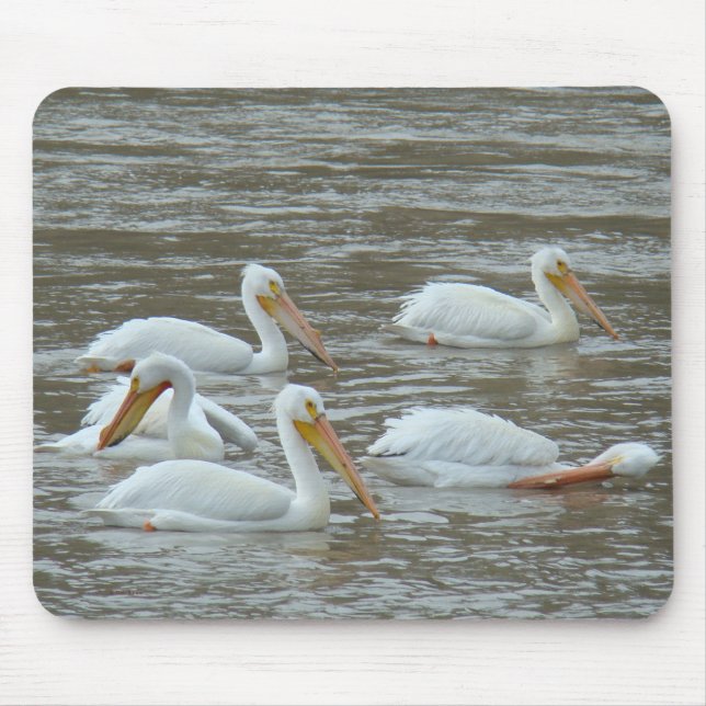 B16 American White Pelicans Mouse Mat (Front)