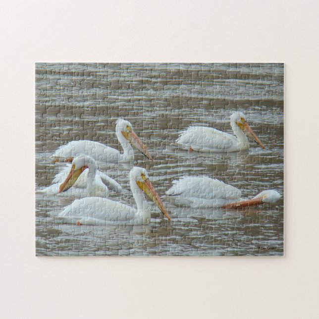 B16 White Pelicans Jigsaw Puzzle (Horizontal)