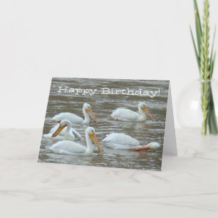 B16 White Pelicans on Muddy River Card