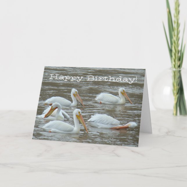 B16 White Pelicans on Muddy River Card (Front)