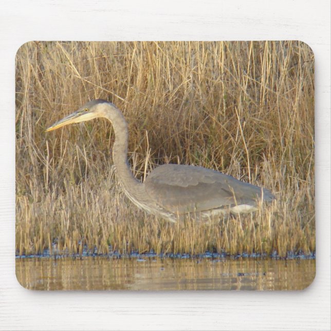 B19 Juvenile Great Blue Heron Mouse Mat (Front)