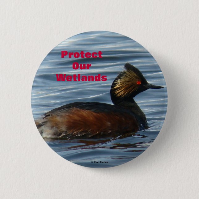 B1 Eared Grebe 6 Cm Round Badge (Front)