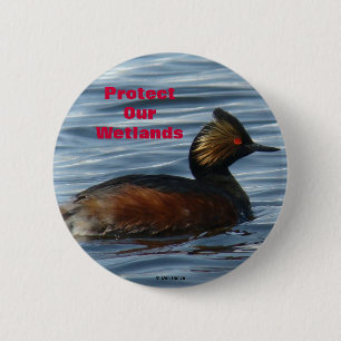 B1 Eared Grebe 6 Cm Round Badge