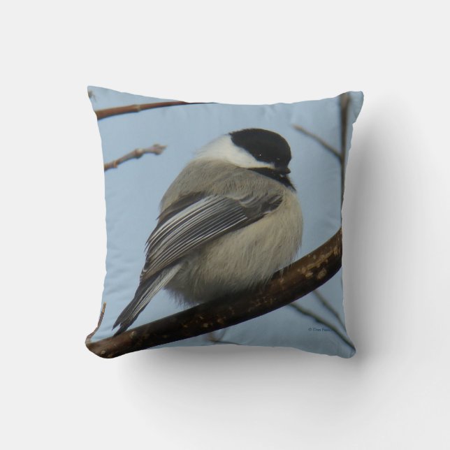 B21 Black Capped Chickadee Cushion (Front)