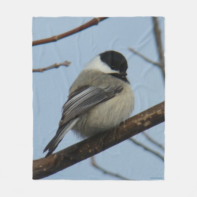 B21 Black-capped Chickadee Fleece Blanket (Front)