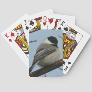 B21 Black-capped Chickadee Playing Cards