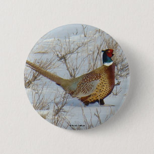 B22 Ring-necked Pheasant 6 Cm Round Badge