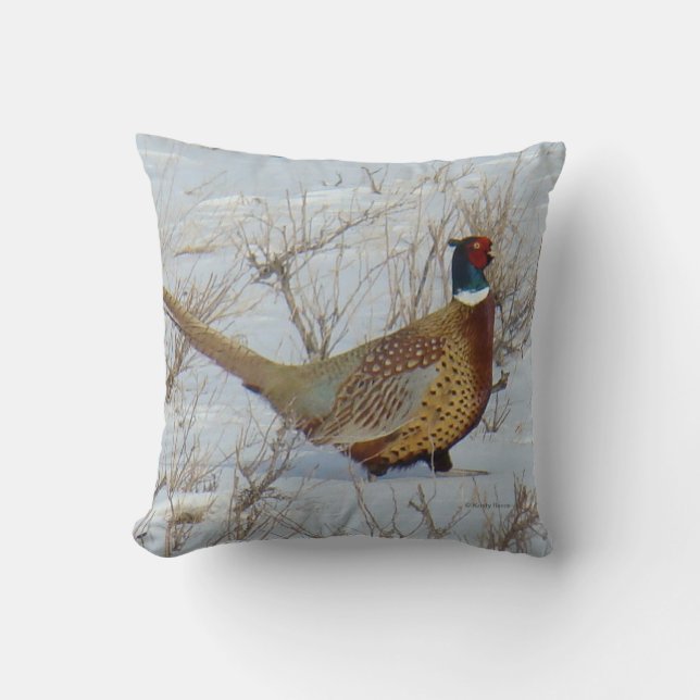 B22 Ring-necked Pheasant Cushion (Front)