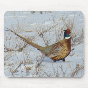B22 Ring-necked Pheasant in Snow Mouse Mat
