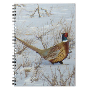 B22 Ring-necked Pheasant in Snow Notebook