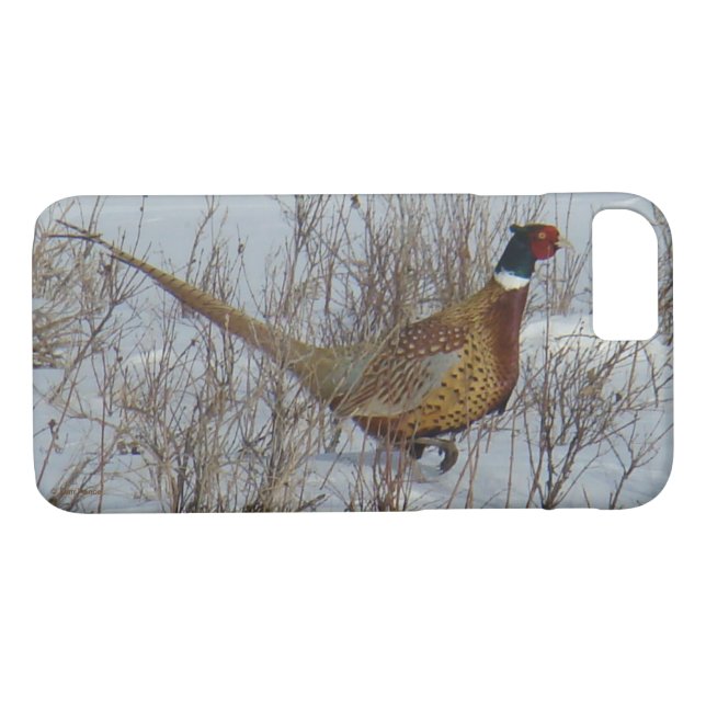 B23 Ring-necked Pheasant in Snow Case-Mate iPhone Case (Back (Horizontal))
