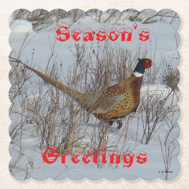 B23 Ring Necked Pheasant in Snow Coaster (Front)
