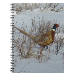 B23 Ring-necked Pheasant in Snow Notebook
