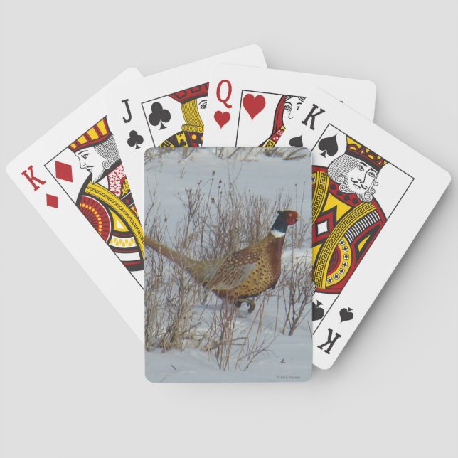 B23 Ring-necked Pheasant in Snow Playing Cards (Back)
