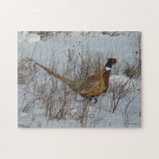 B23 Ring-necked Pheasant Jigsaw Puzzle