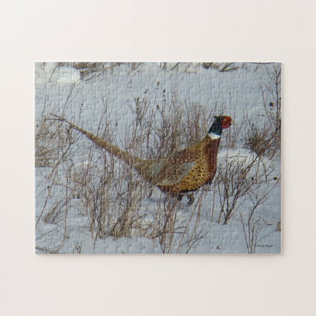 B23 Ring-necked Pheasant Jigsaw Puzzle (Horizontal)