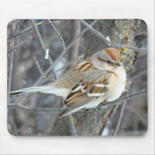 B24 Common Sparrow Mouse Mat