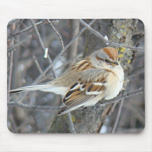 B24 Common Sparrow Mouse Mat (Front)