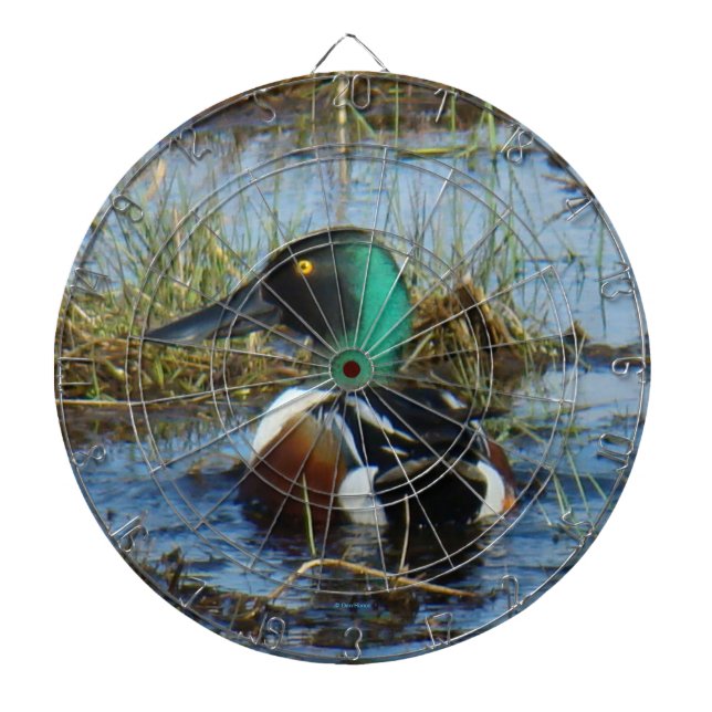 B25 Northern Shoveler Drake Dartboard (Front)