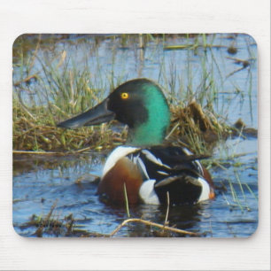 B25 Northern Shoveler Drake Mouse Mat