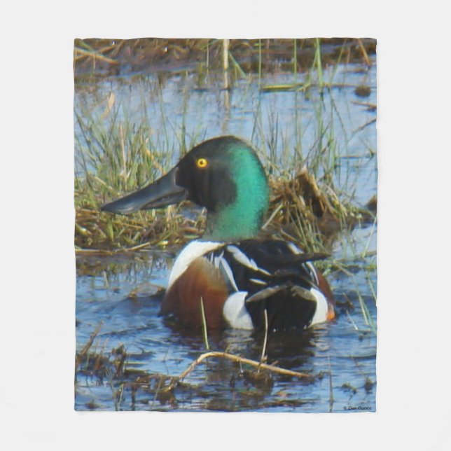B25 Northern Shoveler Drake Spoonbill Fleece Blanket (Front)