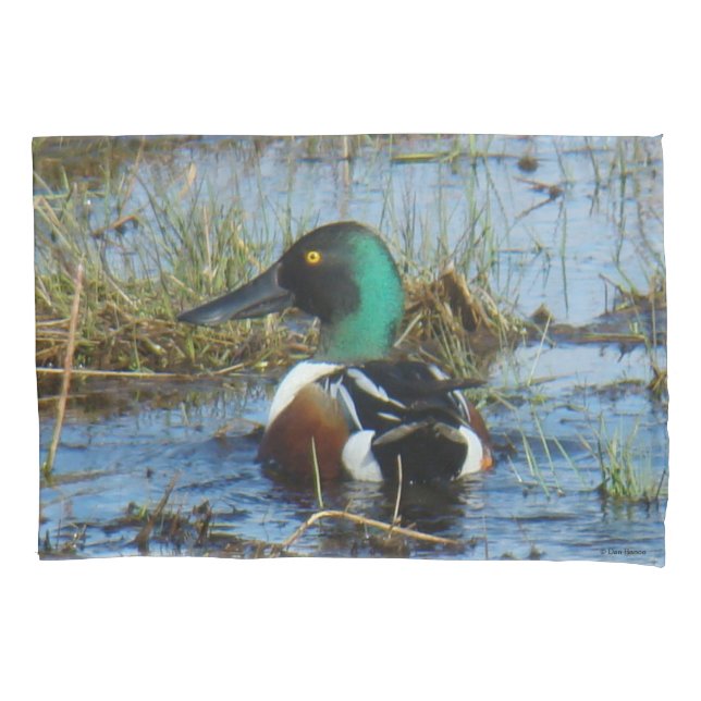 B25 Northern Shoveler Drake Spoonbill Pillowcase (Front)