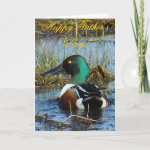 B25 Northern Shoveler Duck Card
