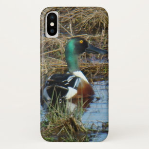 B26 Northern Shoveler iPhone X Case