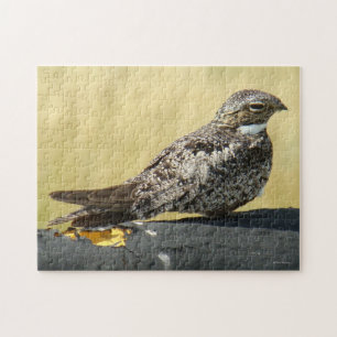 B29 Common Nighthawk Jigsaw Puzzle