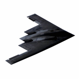 B2 Spirit Standing Photo Sculpture