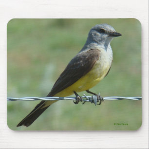 B31 Western Kingbird Mouse Mat