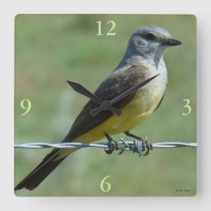 B31 Western Kingbird Square Wall Clock