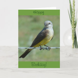 B32 Western Kingbird Card