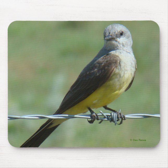 B32 Western Kingbird Mouse Mat (Front)
