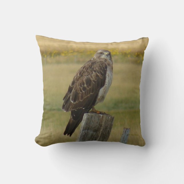 B33 Swainson's Hawk Cushion (Front)