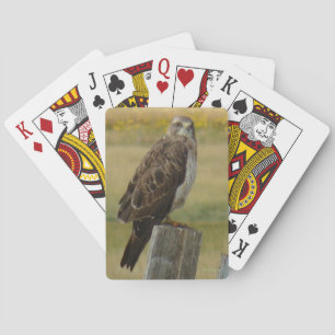 B33 Swainson's Hawk Playing Cards