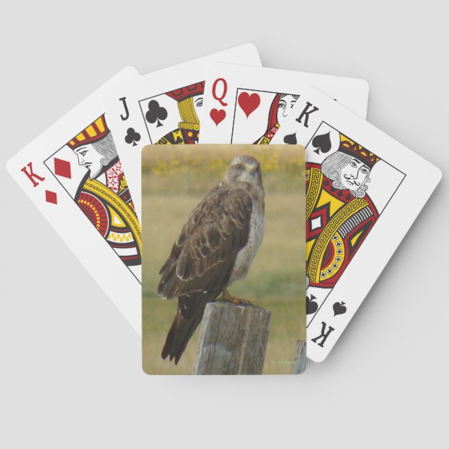 B33 Swainson's Hawk Playing Cards (Back)