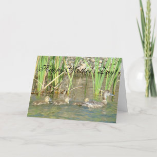 B34 Mother Duck and Ducklings Card