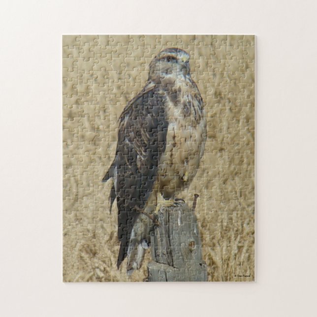 B35 Ferruginous Hawk in Wheat Field Jigsaw Puzzle (Vertical)