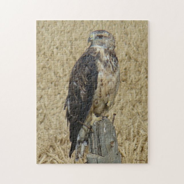 B36 Ferruginous Hawk in Wheat Field Jigsaw Puzzle (Vertical)