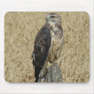 B36 Ferruginous Hawk in Wheat Field Mouse Mat