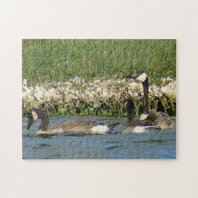 B37 Canadian Geese Puzzle (Horizontal)