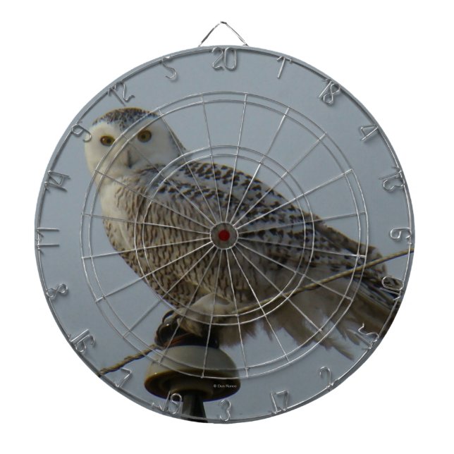 B38 Snowy Owl Dartboard (Front)