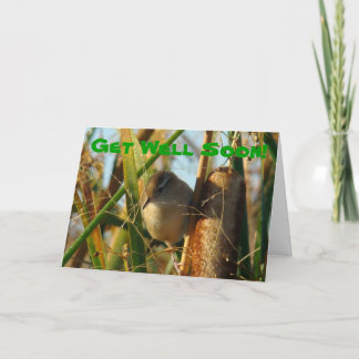 B3 Marsh Wren in Cattails Card