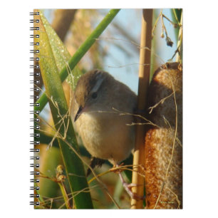 B3 Marsh Wren in Cattails Notebook