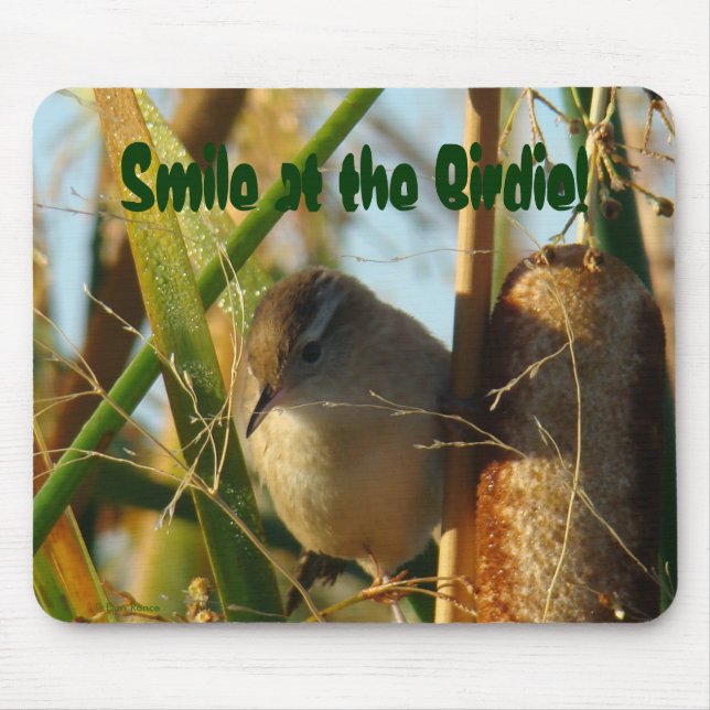 B3 Marsh Wren Mouse Mat (Front)