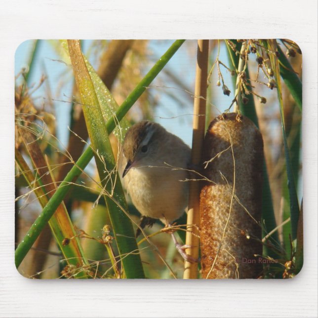 B3 Marsh Wren Mouse Mat (Front)