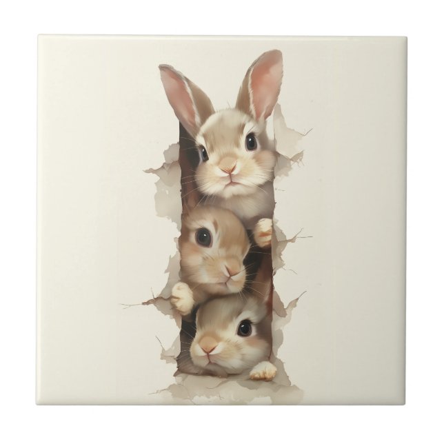 B3 Three Bunnies 3D Illusion  Tile (Front)