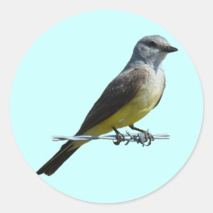 B45 Western Kingbird Classic Round Sticker