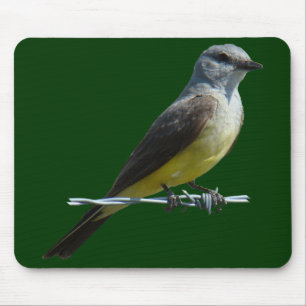 B45 Western Kingbird Mouse Mat